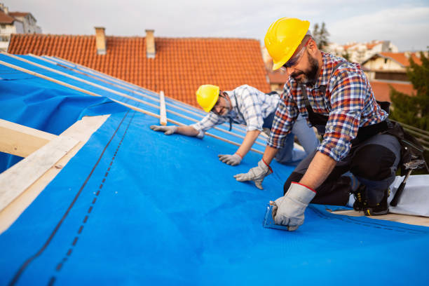 Quick and Trustworthy Emergency Roof Repair Services in Panaca, NV